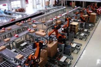 Manipulator palletizer